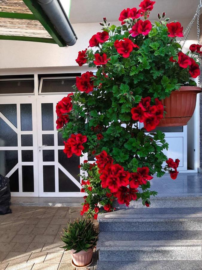 Apartment Bracic Vodice Bagian luar foto